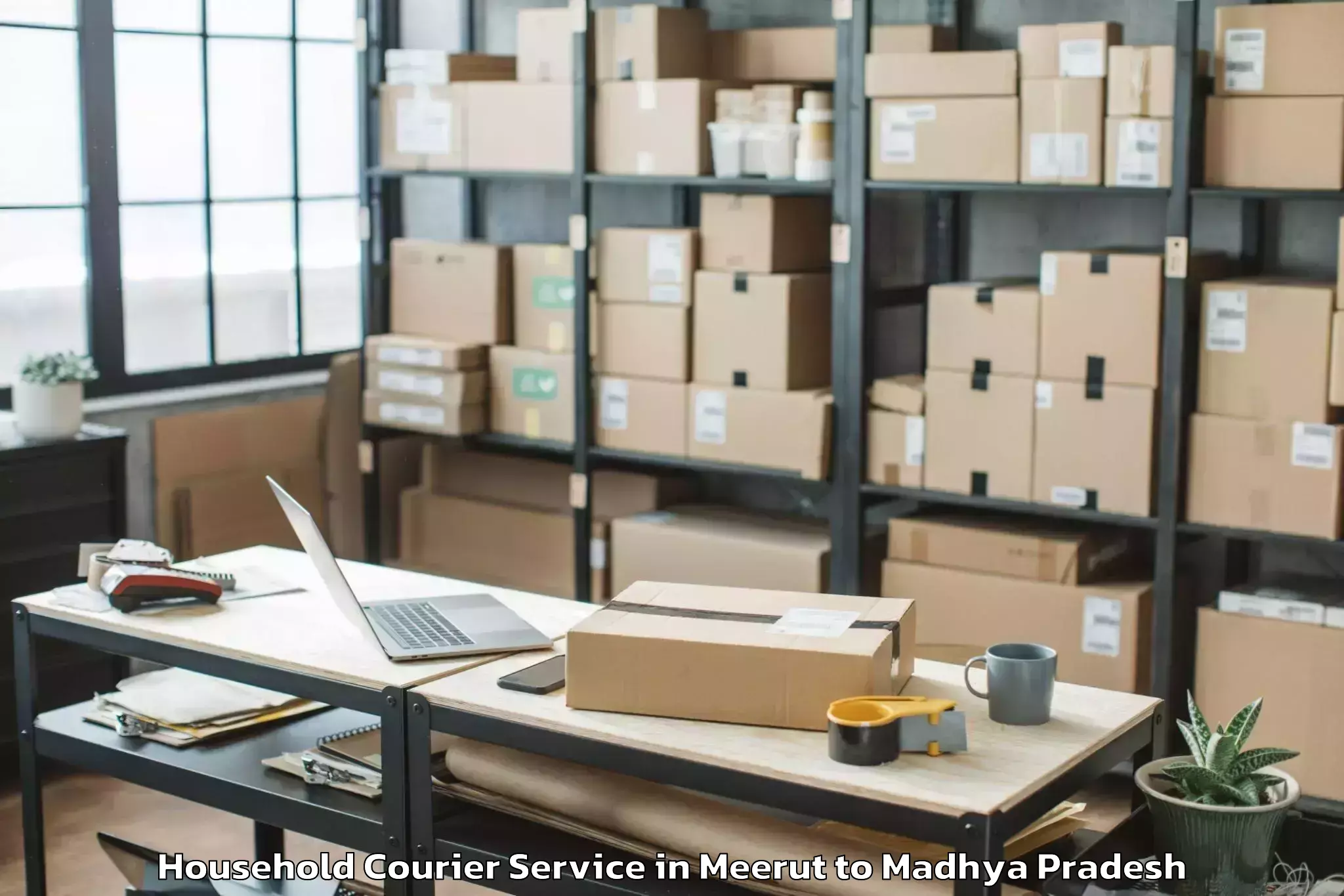 Professional Meerut to Hatod Household Courier